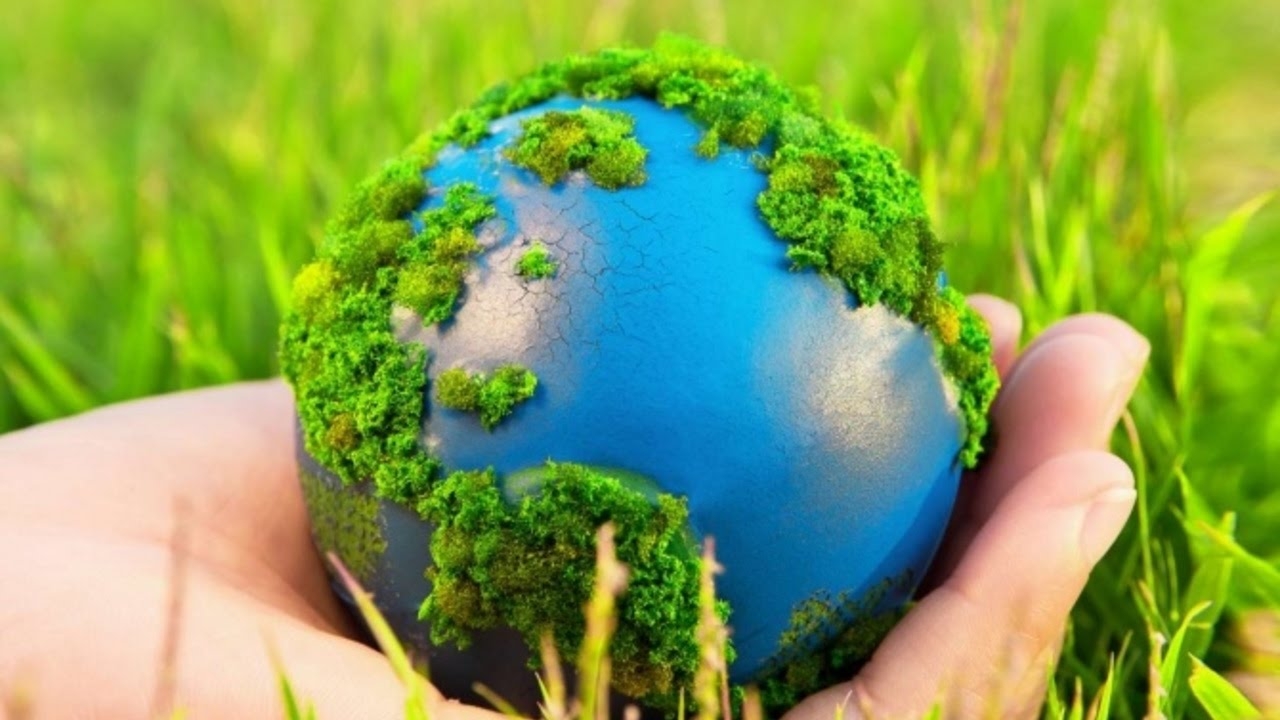 Экология и экологическая безопасность