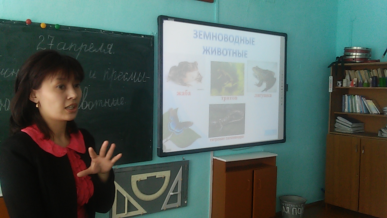 Урок по познанию мира на тему: Земноводные и пресмыкающиеся животные (1 класс)