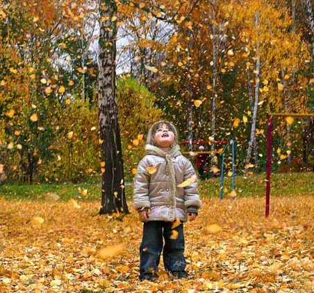 Сценарий осеннего развлечения для детей среднего возраста Осенний переполох