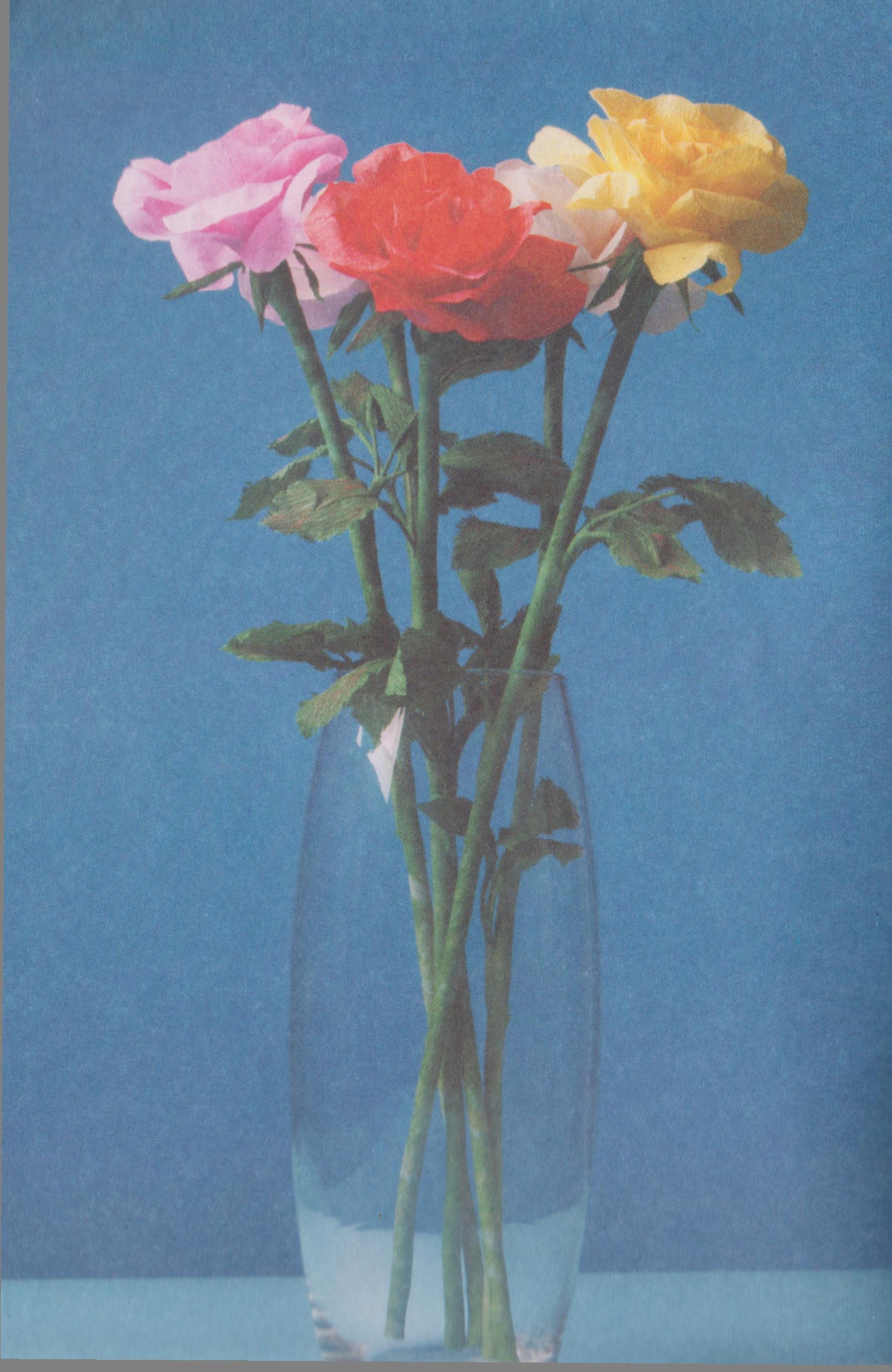 Мастер - класс по декоративно- прикладному исскуству на тему Роза царица цветов