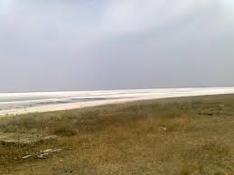 Исследовательская работа Анализ химического состава воды и почвенного грунта Большого Яшалтинского соленого озера