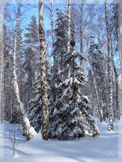 Конспект урока развития речи Урок-путешествие в зимний лес.