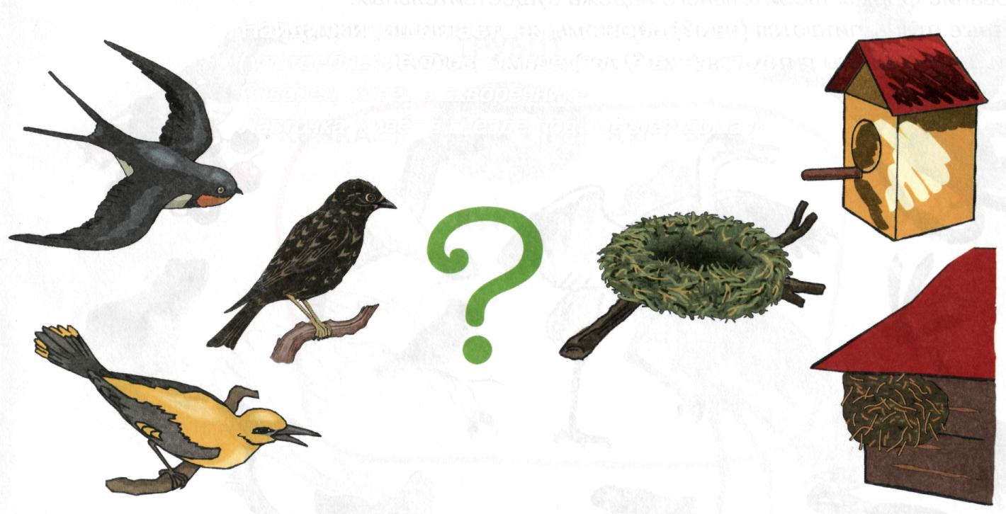 Конспект логопедическогоо занятия на тему: Перелетные птицы