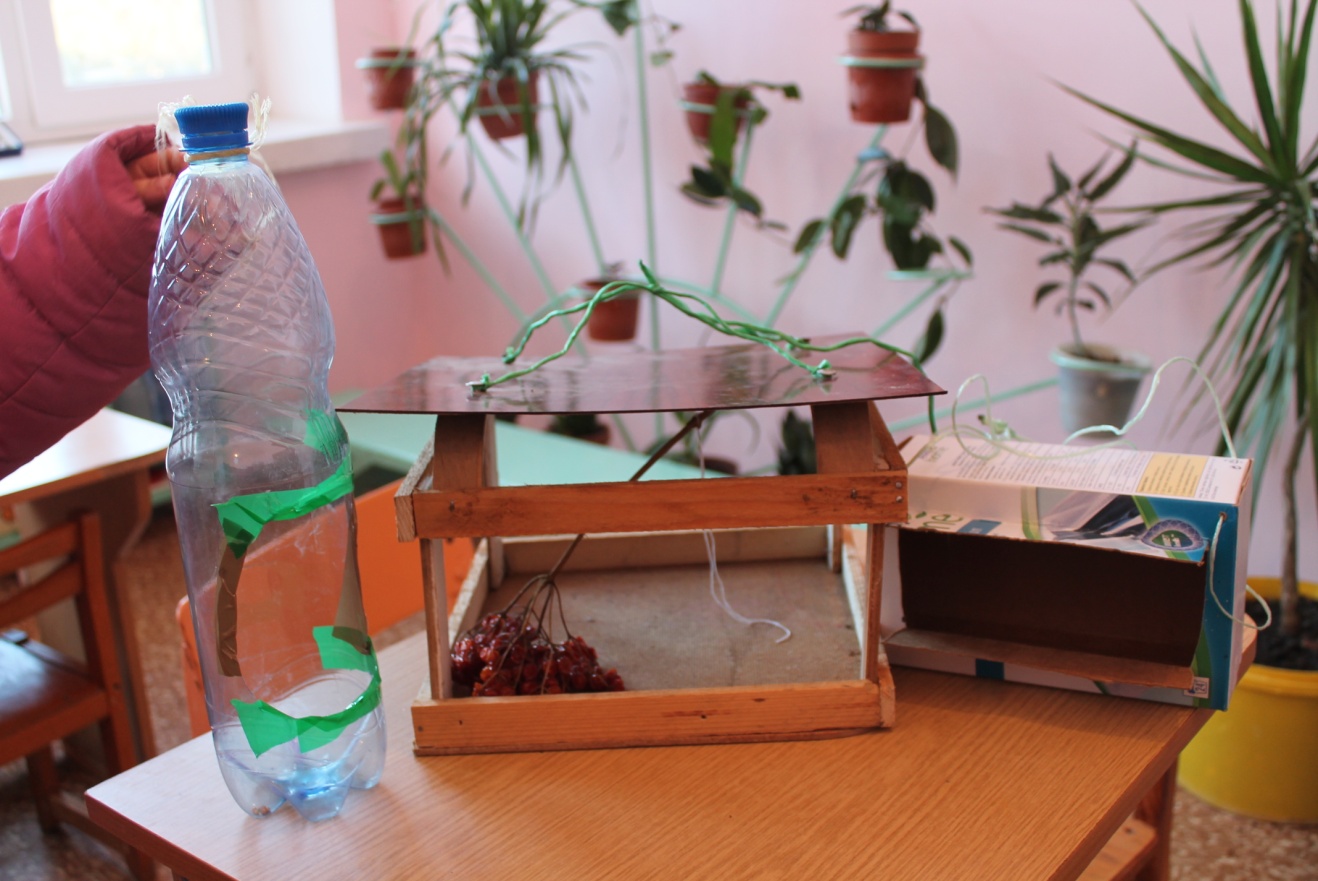 Разработка практического занятия на тему Изготовление и развешивание кормушек для птиц