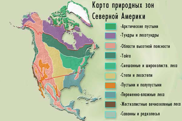 Тема урока: Природные зоны Северной Америки