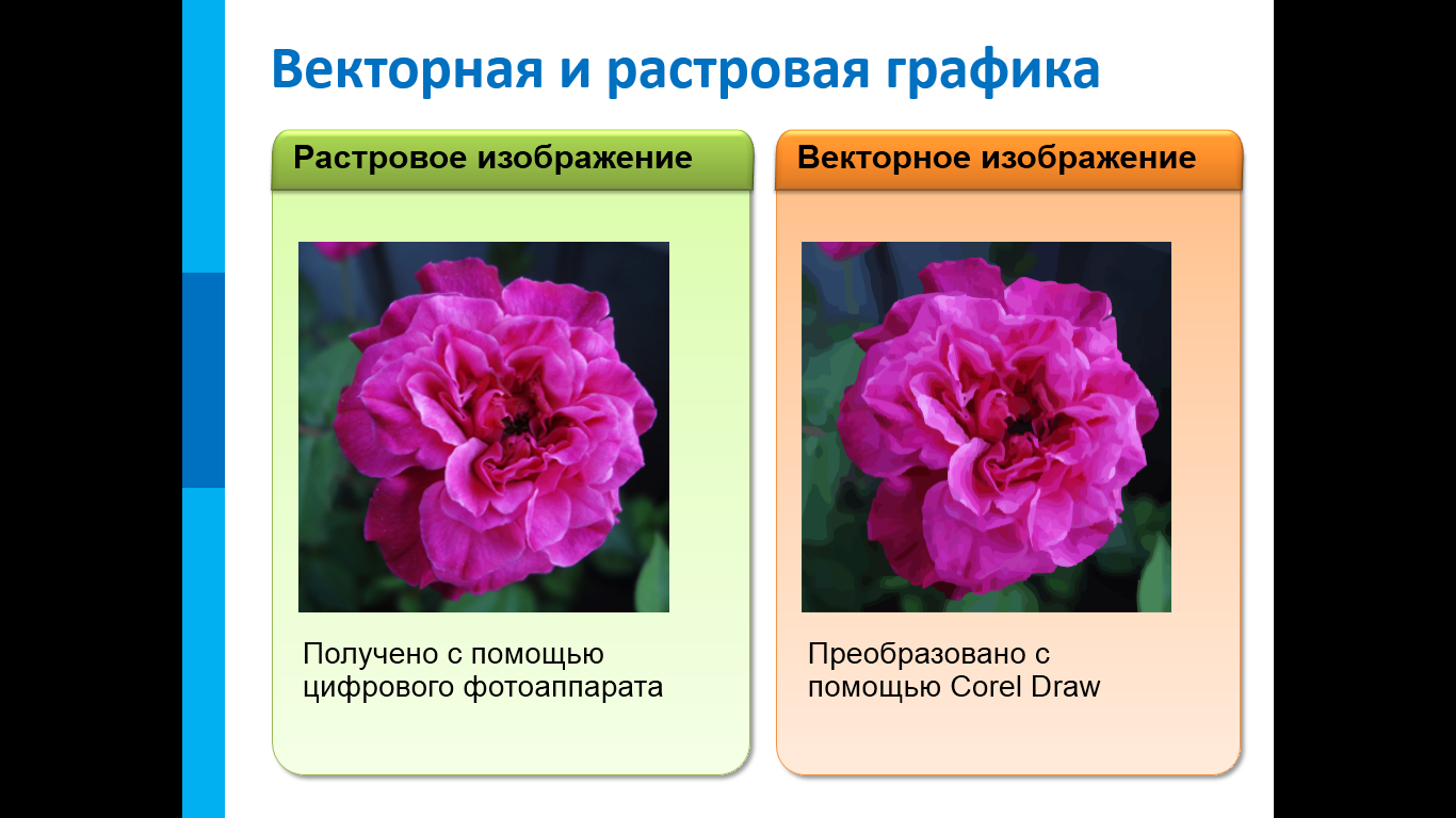 Растровое изображение и векторное изображение отличия