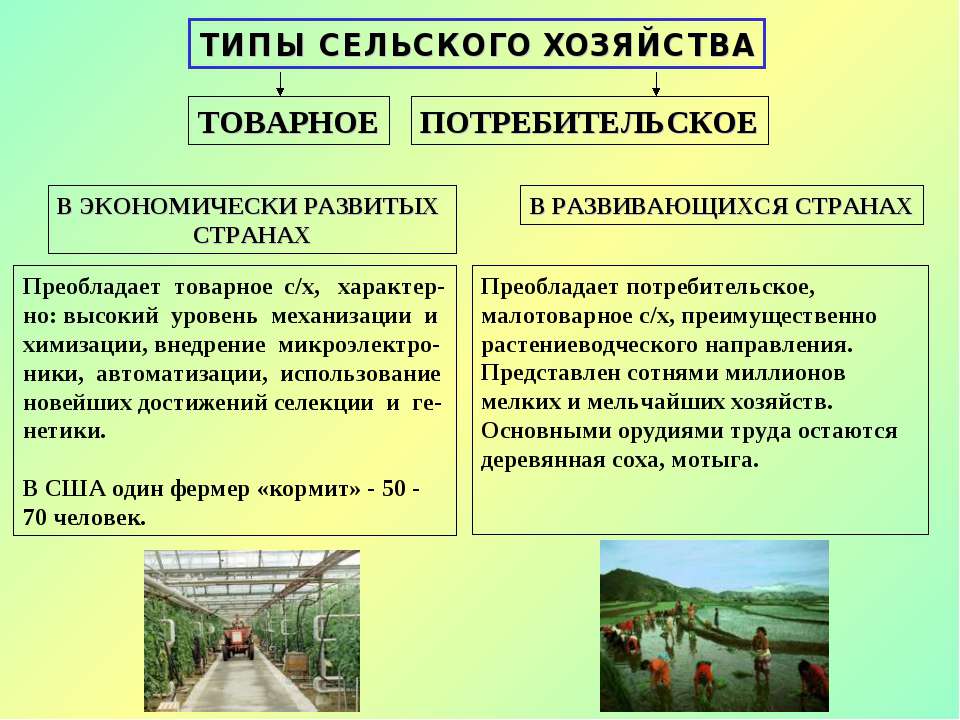 География . 10 класс. Урок 29. Тема: Мировое сельское хозяйство: значение, отраслевая структура, аграрные отношения.