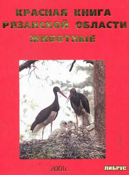 Книга природы Рязанской области (продукт проекта)