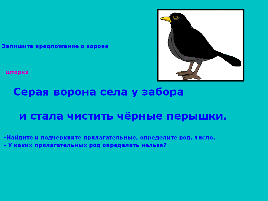 Презентация по русскому языку на тему Имя прилагательное как часть речи (2 класс)