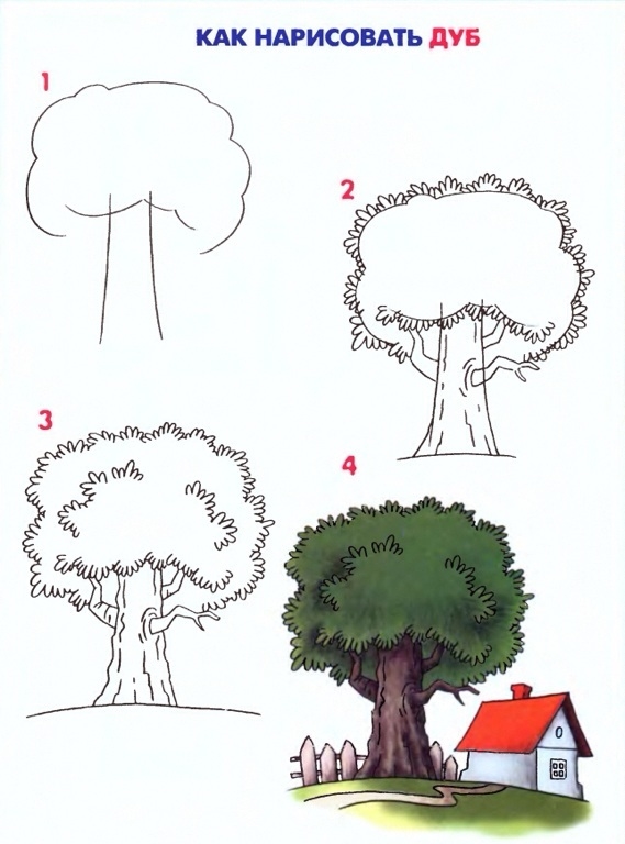 Конспект к уроку рисования Как рисовать деревья.