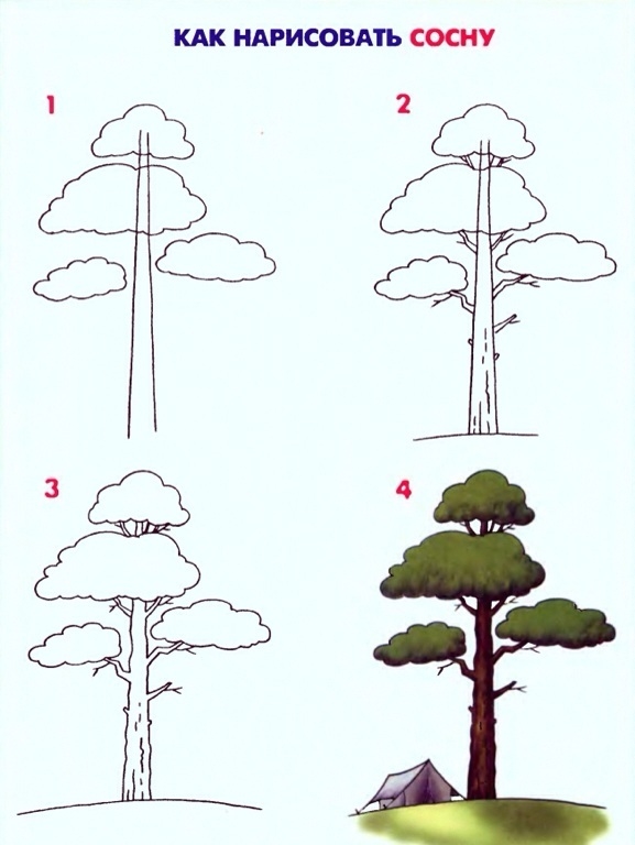 Конспект к уроку рисования Как рисовать деревья.