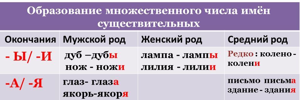 Дидактический материл по русскому языку на тему Имя существительное