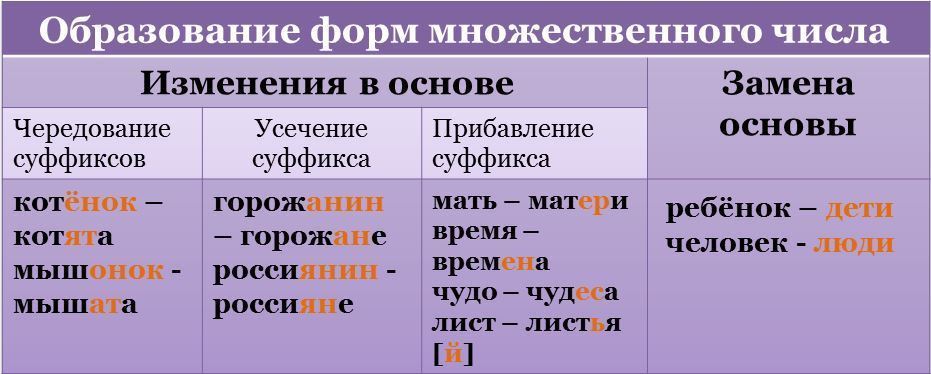 Дидактический материл по русскому языку на тему Имя существительное