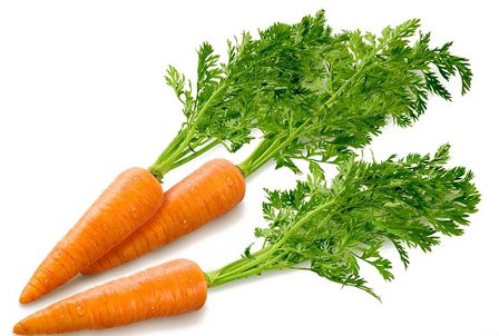 Исследовательская работа Агротехника моркови