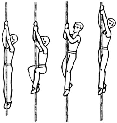 Карточки к уроку гимнастика 5 класс