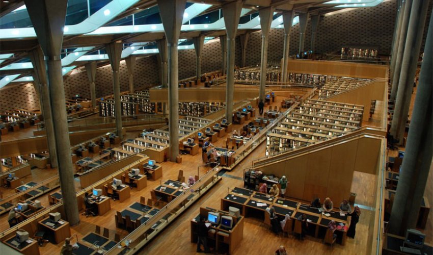 Проект по окружающему миру Библиотеки мира. Александрина....Скала Джунглей