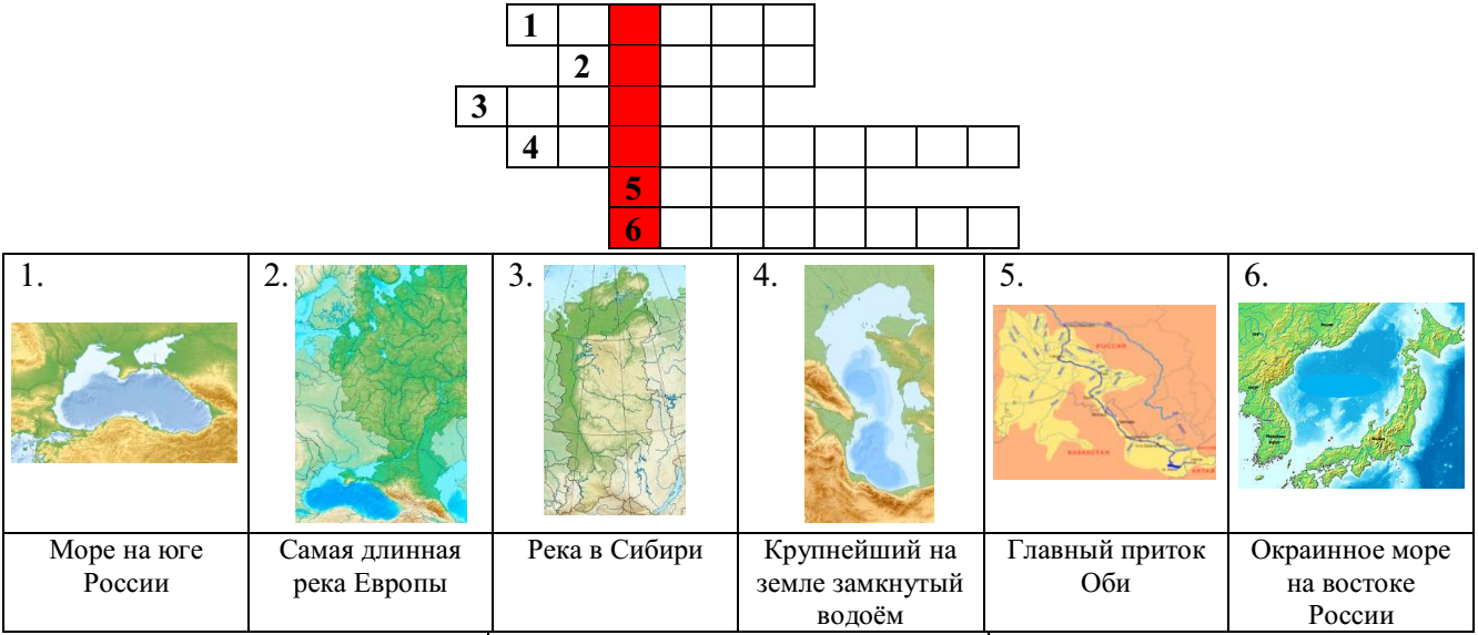 Олимпиада по окружающему миру