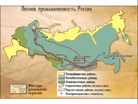Урок географии в 9 классе Лесной комплекс России