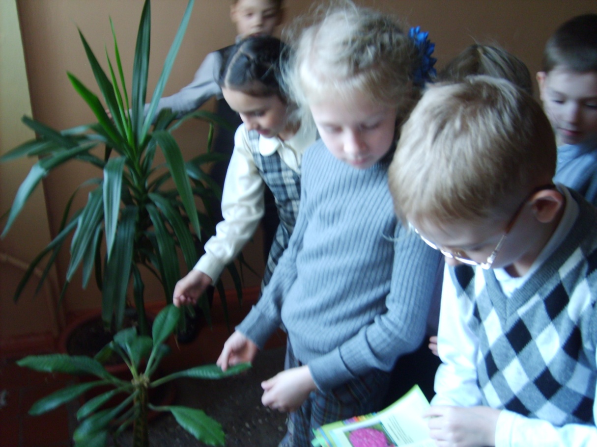 Проект на тему: Экологическое образование младших школьников.