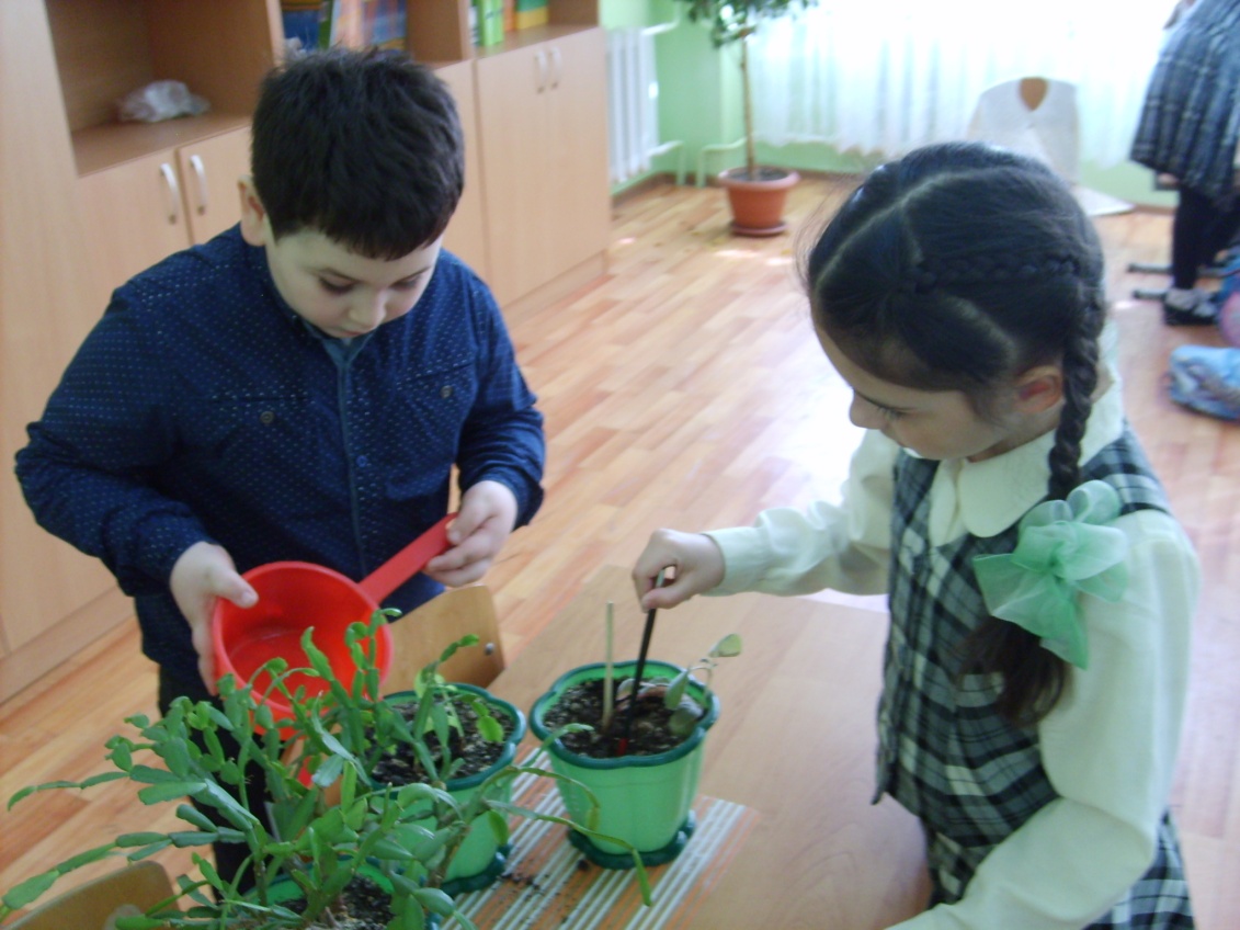 Проект на тему: Экологическое образование младших школьников.