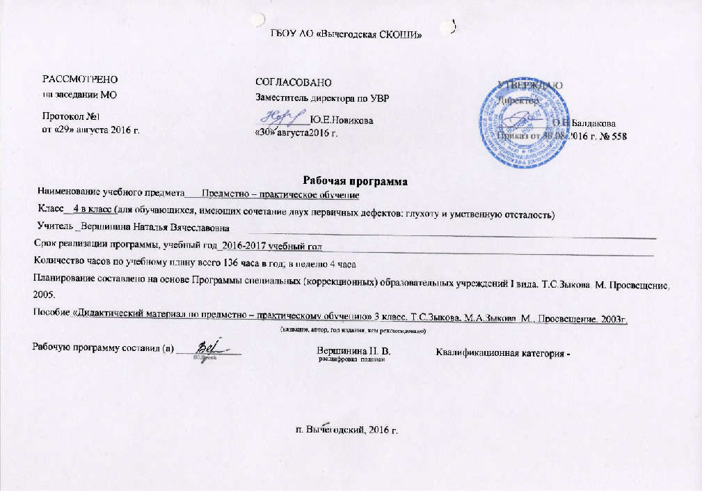 Рабочая программа по ППО