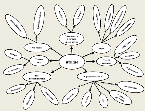 Технологическая карта по биологии на тему Экологические группы птиц (7 класс)
