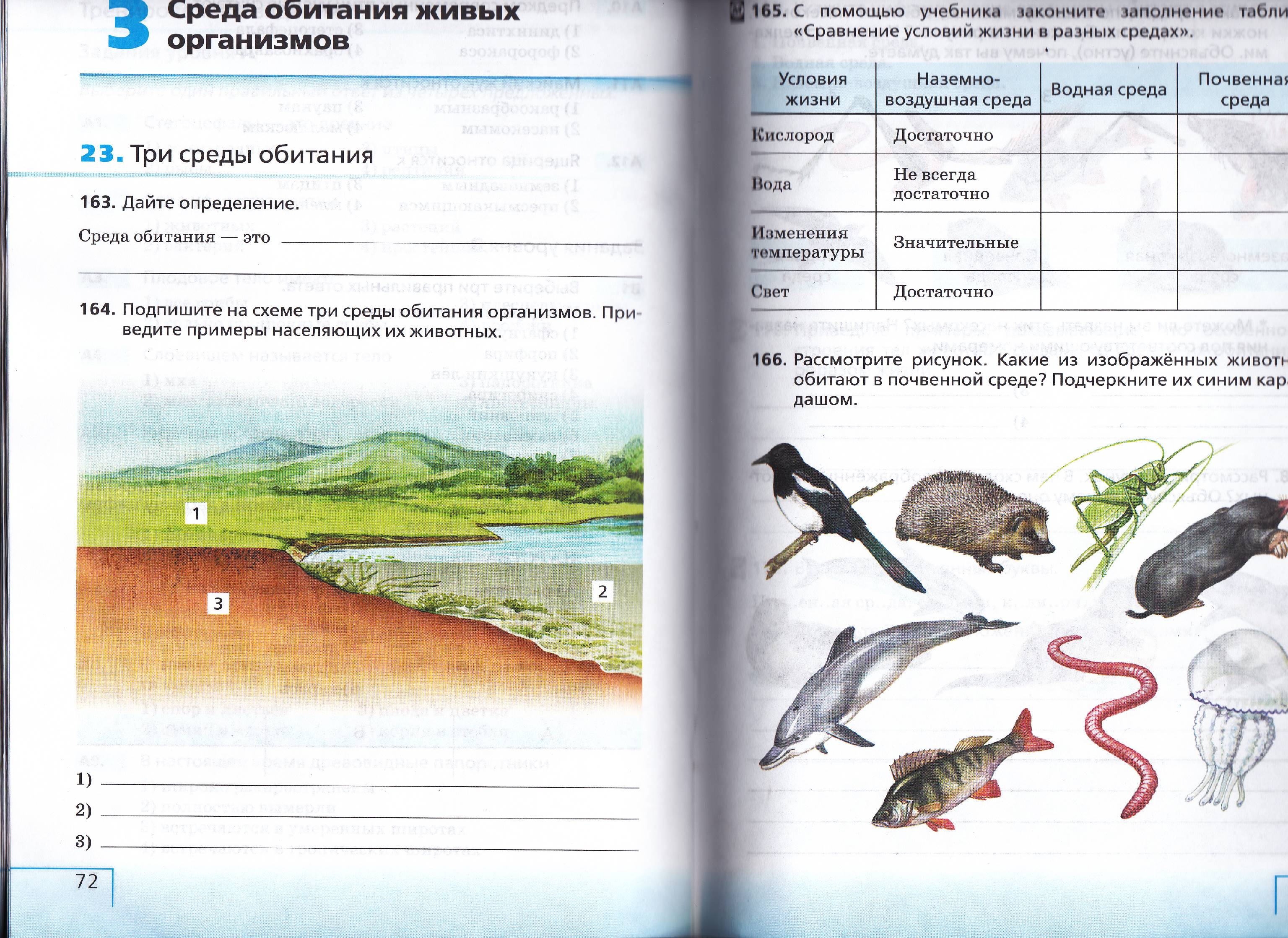 Контрольная работа по биологии на тему Среда обитания живых организмов (5 класс)