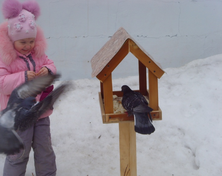 Отчет о проведении природоохранной акции:Накормите птиц зимой