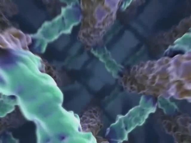 Разработка факультативного занятия «Жизнь внутри организма: взаимосвязь процессов биосинтеза белка, строения цитоскелета клетки с выходом лейкоцита за пределы кровеносного сосуда».