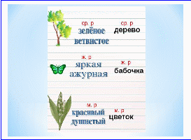 Конспект урока по русскому языку Изменение имен прилагательных по родам