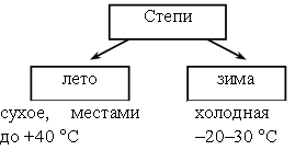 Конспект урока по окружающему миру по теме Степные просторы (4 класс)