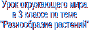 Открытый урок по окружающему миру