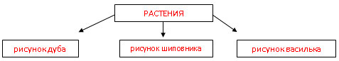 Открытый урок по окружающему миру