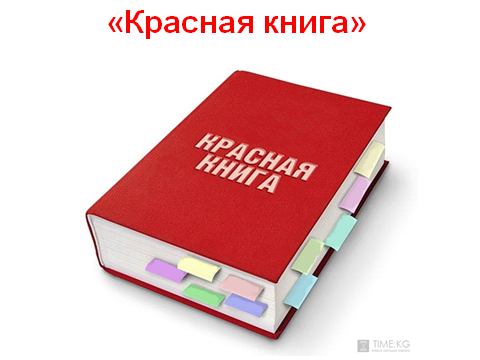 Урок Красная книга России