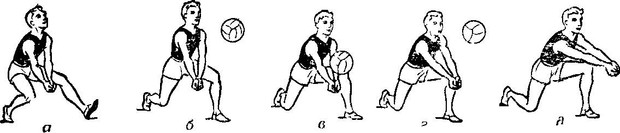 Открытый урок по физкультуре на тему Прием мяча снизу и сверху