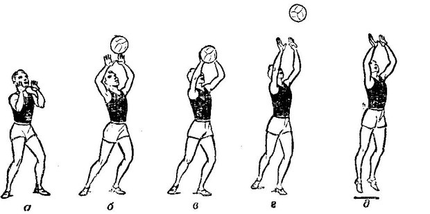 Открытый урок по физкультуре на тему Прием мяча снизу и сверху