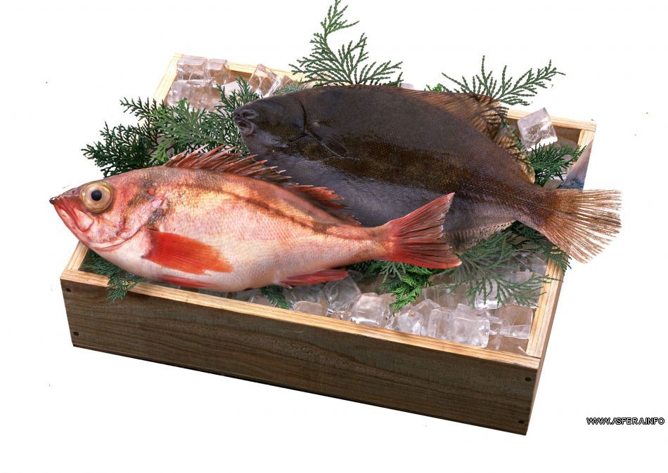 Методические указания к практическим работам по МДК 07.01 Технология приготовления блюд из рыбы