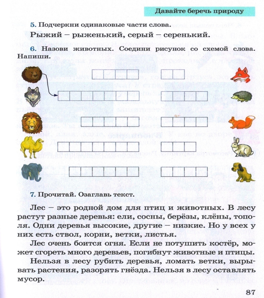 Тема урока ро русскому языку : В зоопарке. (объяснение нового материала ) 4 класс