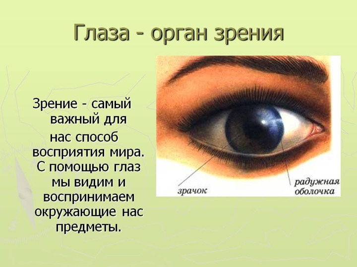 Глаза - помощники человека
