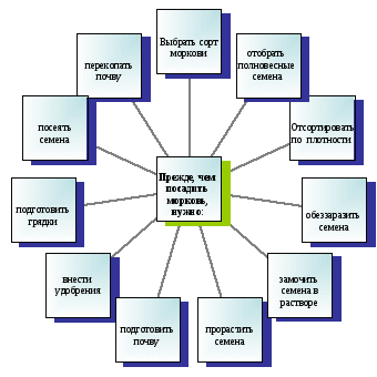 Проект по технологии (сельскохозяйственный труд) 6 класс