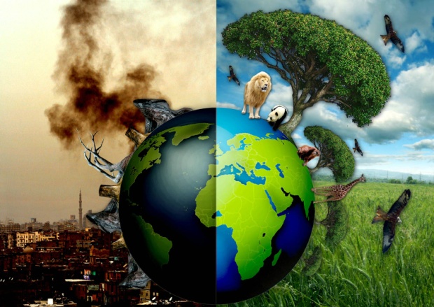 Брошюра к проекту по английскому языку на тему: Save the environment (Спасем окружающую среду)