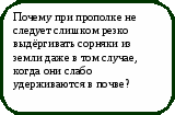 Викторина Физика в природе