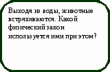 Викторина Физика в природе