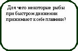 Викторина Физика в природе