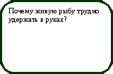 Викторина Физика в природе