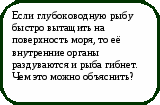 Викторина Физика в природе