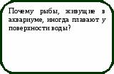 Викторина Физика в природе