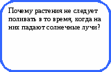 Викторина Физика в природе