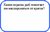 Викторина Физика в природе