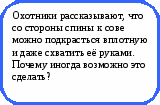 Викторина Физика в природе